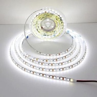 12V/24V LED燈條 2835 120LED/米 家用燈條 粉紅色 紅色 冰藍色 綠色 金色 黃色 橘色 柔性防水軟燈條