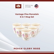 Vantage Fine Porcelain Peach Glory Rose Mug Set (6pcs Tableware)