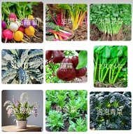 8月份 可以 種植的蔬菜❓ 💝🫘 多款種子可供選擇 🌱 蔬菜類🥬/野菜類🥗/水果類🌵/花卉類🌼/瓜類🍆/豆類🫛/香草類🌿/水培植物類🪷🌱/新款 春🌸夏🌻秋🍂冬❄️天季節種子 (Seeds) Veget