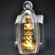 古巴api哇2568蘇拉薩蒂(紅藥)