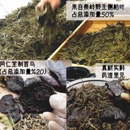 香皂側柏葉洗頭皂側柏葉天然植物純手工洗發香皂控油首烏茶枯麩無添加肥皂