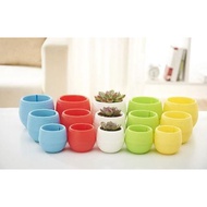 (FP1) Mini Plastic Flower Pot Plant Pot Pangsu Bunga