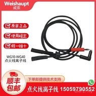 Wire WG1 Other j8 Wire Wayline Probe g3 Burner Fire Wire 40D High Voltage Wire N20 Ion Ion 1030