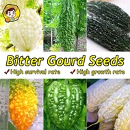 Bitter Gourd Seeds for Sale (Green/White Bitter Gourd Seeds / Apple Bitter Melon Seeds/Round Green B