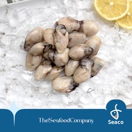 [SEACO] - OYSTER MEAT M - 1kg