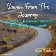 Scenes From The Journey Ann Tudor