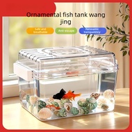 Fish Tank Incubation Box Isolation Box Guppy Breeding Box Small Fish Delivery Room Breeding Acrylic