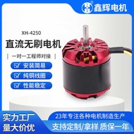 4250 Micro Motor Drone Model Aircraft Scooter High Speed High Power Adjustable Speed Brushless DC Mo