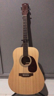 Gitar Anderson AFE-12-N