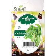 🔥Pilihan Tepat🔥Seeds Surejadi Benih Sayur Vegetable Micro Green Seed Cauliflower 2g RM2.50