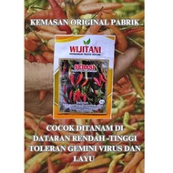 Benih | Biji Cabai / Cabe Rawit Merah | RM SERASI by WIJITANI 10gr