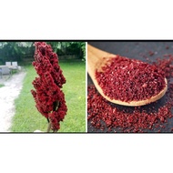 💥STOCKREADY💥1KILO RED SUMAC SUPERFOOD 1 Kilo