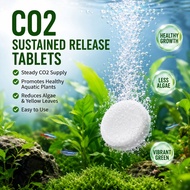 CO2 Aquarium Fish Tank CO2 Slow Release Tablets 60 Count for Algae Control Yellow Leaves Aquatic Pla