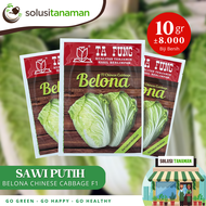 Benih Sawi Putih Belona Chinese Cabbage F1 10 gr (8.000 Biji) Bibit Sawi Putih Belona Benih Sawi Ta 