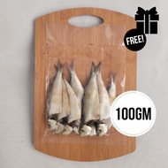 Ikan Tamban Sisik Kering Putih 100gm Tanjung Dawai Ready Stock Free Gift