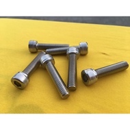 Stainless bolt 304- motorcycle T-post bolt for Suzuki Raider J