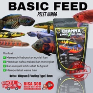Pelet Channa Maru Jumbo 100gr | ukuran 5mm | makanan ikan yellow sentarum red sampit red borneo red