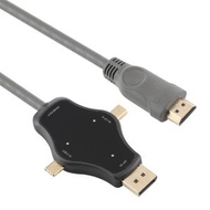 全城熱賣 - D65A DisplayPort In & Mini DP In & Type-C In 轉 HDMI 4K Output 多功能轉接線 線長：1.8m
