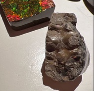斑彩石 原石 無鍍膜 水牛石 ammolite