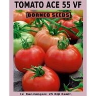 Benih Tomato ACE 55 VF - ACE 55 VF Tomato Seeds