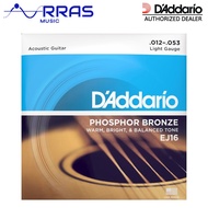 D'addario Phosphor Bronze Acoustic Guitar Strings EJ16 (Light / .012 - .053)
