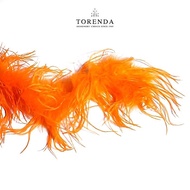 Torenda Feathers Swan Feather Scarf Ostrich Feather Kasuari - Color Variants 2 Yard/