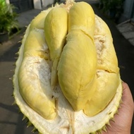 durian bulat utuh montong palu 2kg