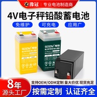 4v4ah20hr4.5 ah6ah Electronic Scale Platform Scale Local Scale Maintenance-Free Lead-Acid Storage 6V