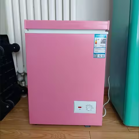 60L Refrigerator Fridges for Home Fridge Geladeira Freezer Mini Cooler Ice Cream Freezer Fridge Port