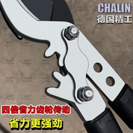 德国进口修剪果树树枝剪刀园艺大号剪枝工具加长果园手动长杆园林Germany imported pruning fruit tree branches scissors gardeningrusmu23