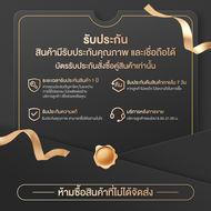 Wine Cellar ตู้ไวน์ ตู้แช่ ตู้เก็บไวน์ ตู้ไวน์ขนาดใหญ่ Wine Cooler ความจุ 32ขวด อุณหภูมิ 11-18 °C หน