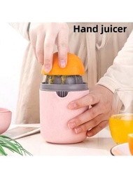 手持式攪拌機榨汁機，適用於榨取水果汁