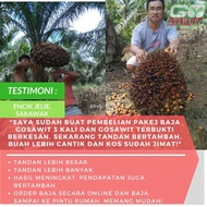 ❃☂✁🔥👍BAJA SAWIT TERBAIK DENGAN HARGA PROMOSI🔥( GoSawit )(Go Sawit )