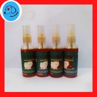 DZS SPRAY ANTI SKIN INFECTION | Effective in Overcoming All Skin Types 60ml