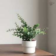 Fake Trees Minimal Concave Plastic Pot