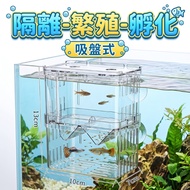 Fish Tank Incubator Box Guppy Breeding Guppy Betta Isolation Box Small Fish Spawning Device Aquarium