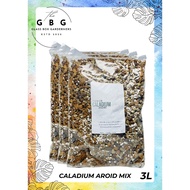 PREMIUM Aroid Mix For CALADIUM [3L] / Mix With 5 Ingredient