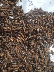 Laron Goreng Wonogiri.sangat lezat di temani nasi dan sambal 40 gram