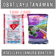 OBAT BUSUK BATANG /LAYU JAMUR/LAYU BAKTERI TANI CABE