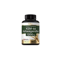 Daitea KSM-66 Ashwagandha | 120 Kapsul | Suplemen Nutrisi Organik untuk Meningkatkan Daya Tahan dan 
