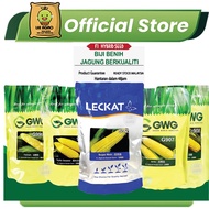 LECKAT/GWG (592 907 906 908 399 9966 927)JAGUNG MANIS 500G F1 BIJI BENIH/SWEET CORN SEED G9966 G909 