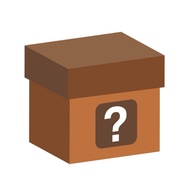 Secret Box - Mystery Accessories Box