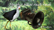 Speaker pikat burung ruak ruak  || speaker toa rakitan untuk ruak ruak 3 baterai !!!