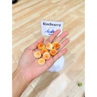 Scale Dollhouse Miniatures Lots Dessert Bakery Accessories