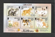 出清價 ~ 動物專題 直布羅陀 1997年 貓咪郵票小全張