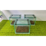 Aquarium 20.15.15 white background + malang sand + LID channa aquarium 20x15x15 aquarium/