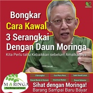 𝙊𝙍𝙄𝙂𝙄𝙉𝘼𝙇 𝙃𝙌❗️DND MORINGA CAPSULE DR NOORDIN   |post from HQ &amp; 24Hour postage|