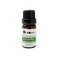 Eucalyptus | Aromatherapy Pure 100% Essential Oil
