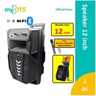 Bluetooth Trolley Wireless Karaoke Speaker 12inch Woofer with Wireless Mic