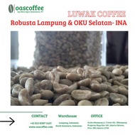 Biji kopi luwak robusta